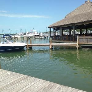 Meet your Posher, Barbara